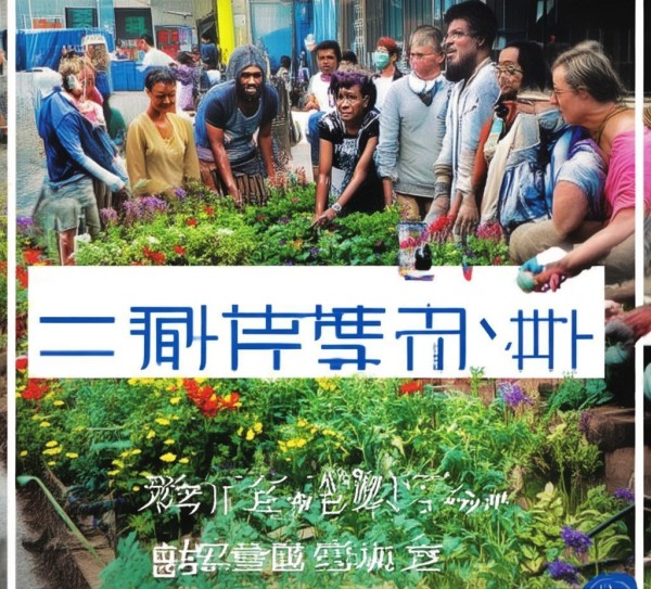 公益广告最优规划，助力社会价值的最大化