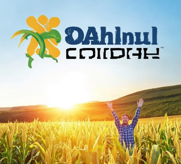 玉米宣传广告公司，助力农业丰收的助力