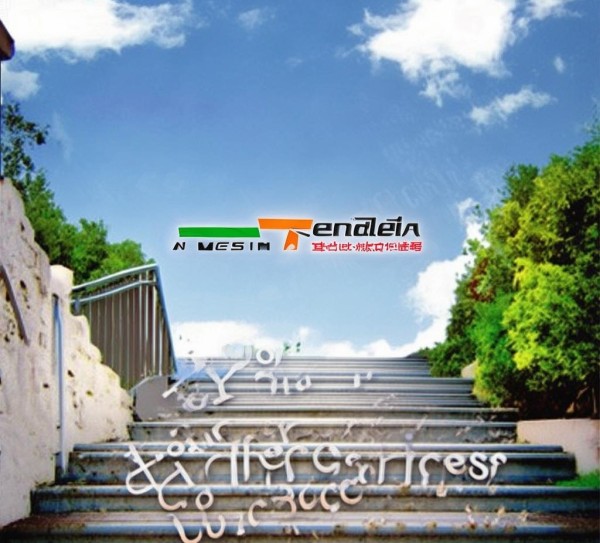腾达广告，your choice success