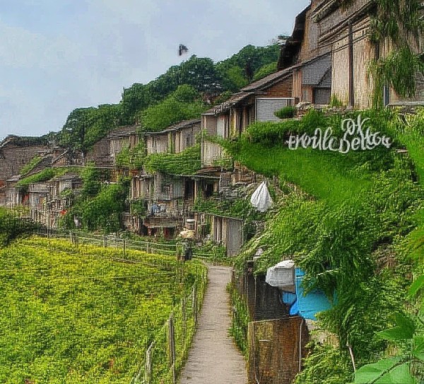 公益广告村,助力农村经济发展新引擎