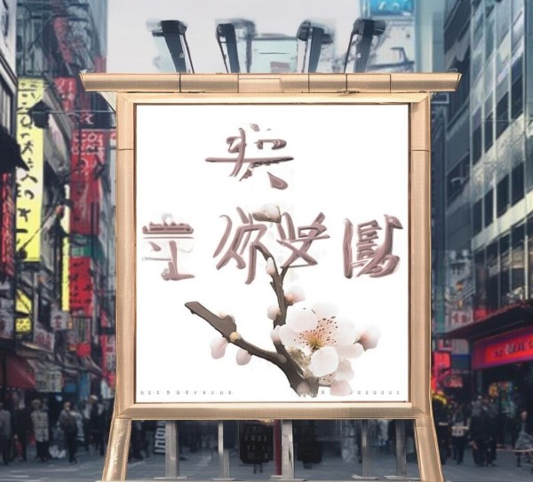 梅地亚，广告规划的本土化指南