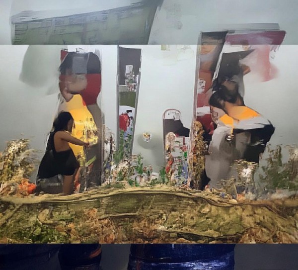 我们在一起的蜕变历程,一起成长